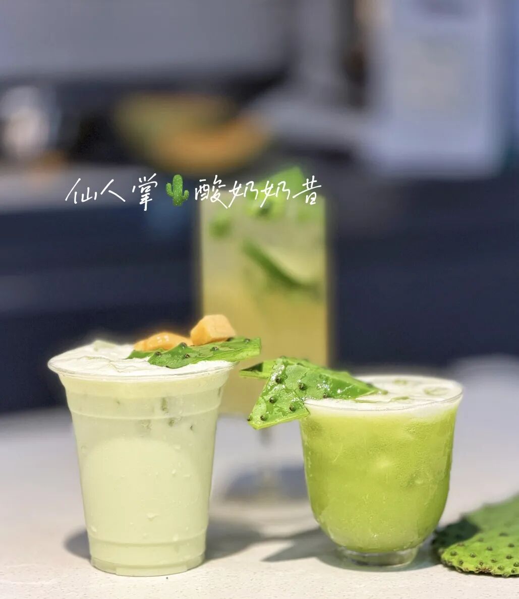 仙人掌“卷”入茶饮圈，这波冲羽衣甘蓝来的？